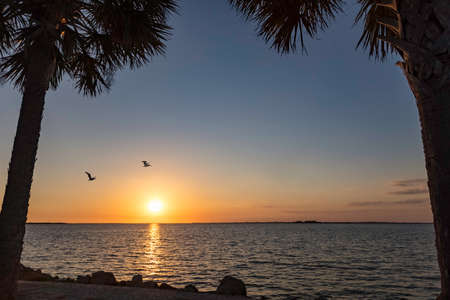 Sunset with flying pelicans near Sanibel Island, Florida, USAの写真素材