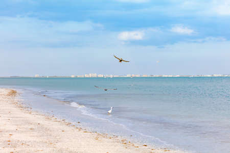 San Carlos Bay in the background Fort Myers Beach, view from Sanibel Island, Florida, USAの写真素材