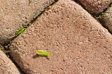 Cross section of walkway pavers on a diagonal angle.の写真素材