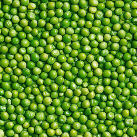 Green peas background. Close up of fresh green peas background.の素材