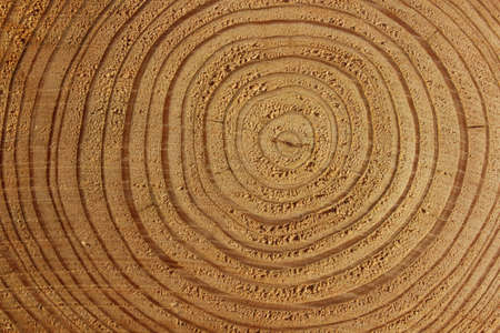 Beautiful attractive designed background texture on wood logsの写真素材