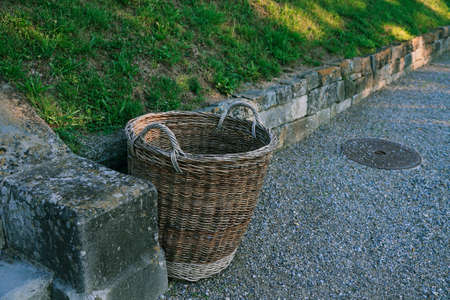 Fresh fruits and vegetables are in the basketの写真素材