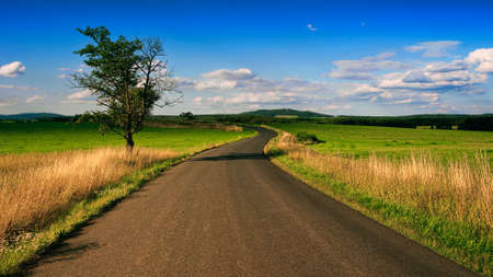 Landscape view of lane tree with blue sky backgroundの写真素材