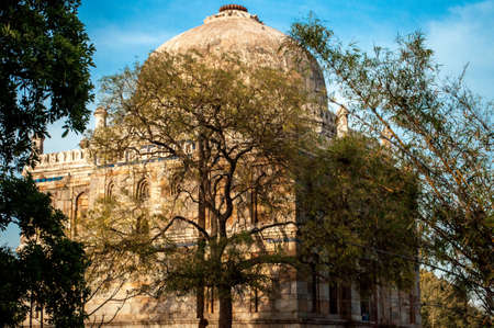 Tomb and Bambooの写真素材