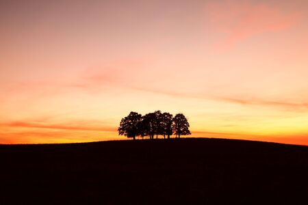 Lonely trees on the hillの写真素材
