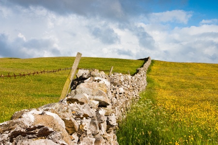 Dry stone wall on the fields in Yorkshire Dales in Great Britainの写真素材