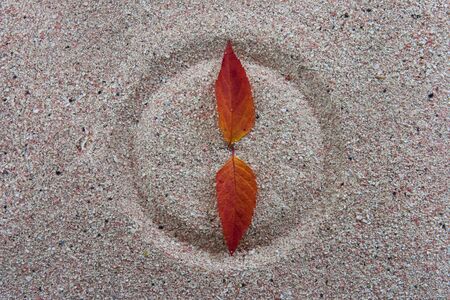 Six a clock on the beachの写真素材