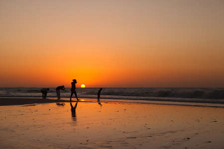 The silhouettes people at the sunset backgroundの写真素材