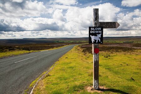 Landscape in Goathland Area , England  の写真素材