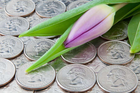 US dollars - the same metal coins