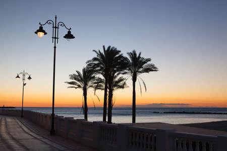 Lonely palm trees on the empty Malaga beach in Spainの写真素材