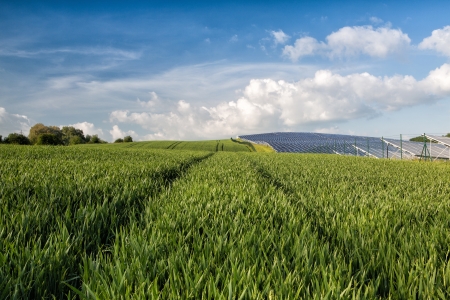 Silicon solar energy panels on green corn fieldの写真素材