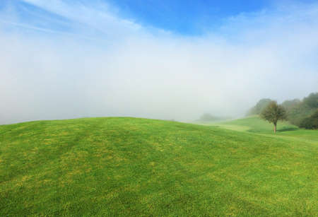 Misty morning on a golf courseの素材
