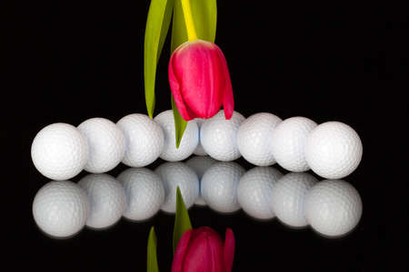 Red tulip and golf equipments on the black glass tableの写真素材