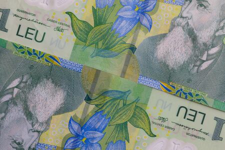 Detail of Romania Lei  banknotesの写真素材