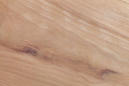 Exotic venner wood grain for textures and layeringの写真素材