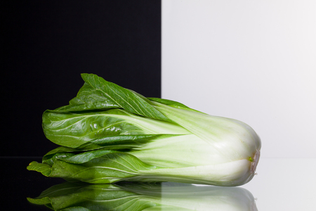 Single Chinese cabbage isolated on black and white background and glass deskの写真素材