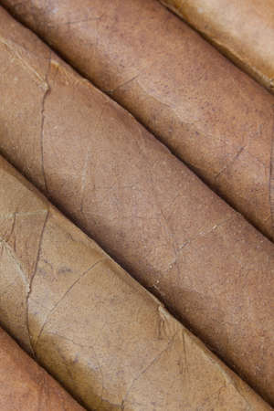 Detail of luxury Cuban cigars in the open box