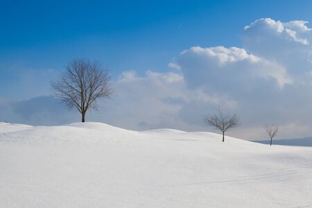 Winter landscape under blue skyの写真素材
