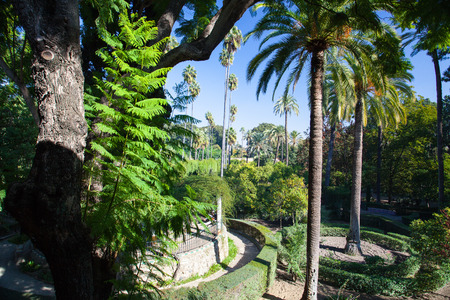 Seville, Spain - November 18,2016: Real Alcazar Gardens in Seville.The Alcazar of Seville is a royal palace in Seville, Spain, originally developed by Moorish Muslim kings.のeditorial素材
