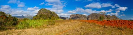 Famous Cuba farmland tobacco area, Valley de Vinales, Pinar del Rio, Cuba.の写真素材