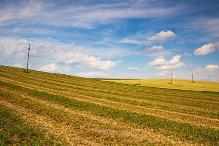 Harvested empty field on the hills at sunset.の写真素材