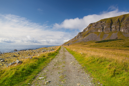 On the coast on Lofoten islands, Norwayの写真素材