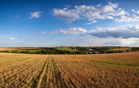 The Zvoleneves village at sunset. The field after harvesting in sunny day. Picture with mowed wheat field  under  sunny day. Czech Republicの写真素材