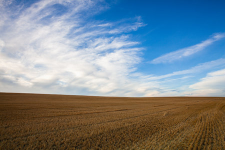 On the empty field after harvesting in summer evening. Czech Republic. Amazing sunset in Czech...