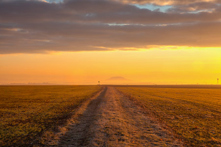 Rip Mountain, Famous hill in Czech Republic. On the dust road among fields at amazing sunrise in Central Bohemian Highlands, Czech Republic.の写真素材