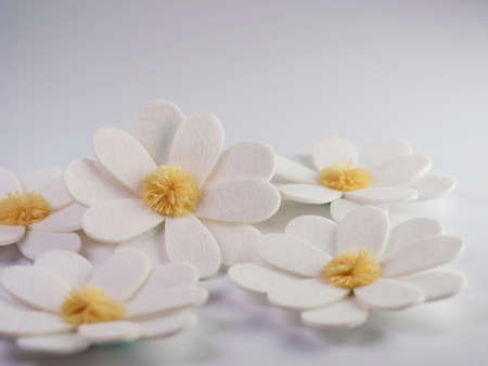 White felt daisy flower blooms with yellow Pom Pom centers sitting on a white background.  Spring flowers.の写真素材