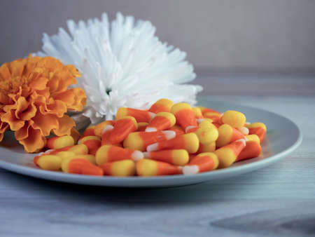 Gray Plate Full of Orange and Yellow Candy Corn with White and Orange Flowers for Halloween or Fall...