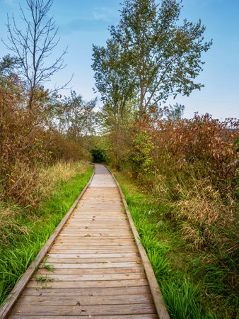 Canoe Creek State Park in Pennsylvania in the early fall with a blue sky and trees and grass along...