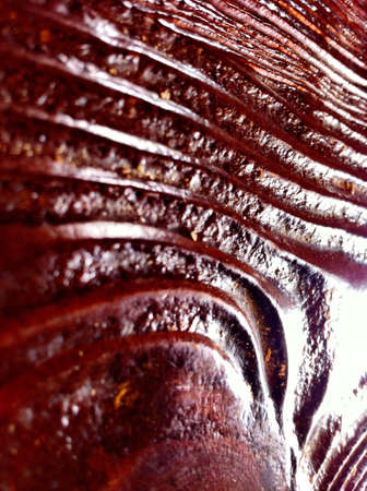 Wood textureの素材