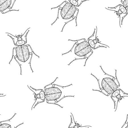 Seamless pattern of monochrome ground beetles illustration. Vector illustration templateのイラスト素材