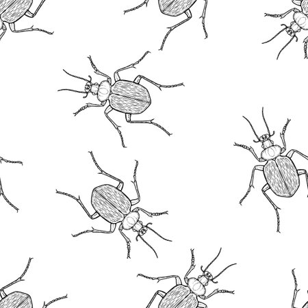 Seamless pattern of monochrome ground beetles illustration. Vector illustration templateのイラスト素材