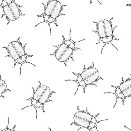 Seamless pattern of monochrome beetles illustration. Vector illustration templateのイラスト素材