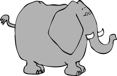 Elephantの写真素材
