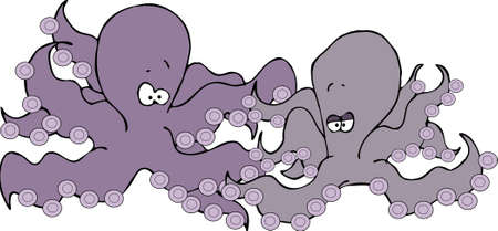 Octopusesの写真素材