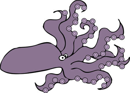 Octopusの写真素材
