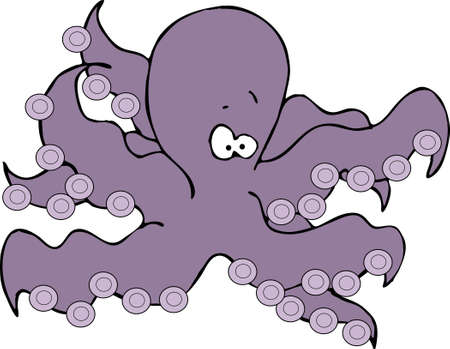 Octopusの写真素材