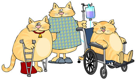 Sick Catsの写真素材