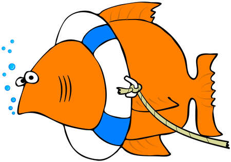 Fish With A Life Preserverの写真素材