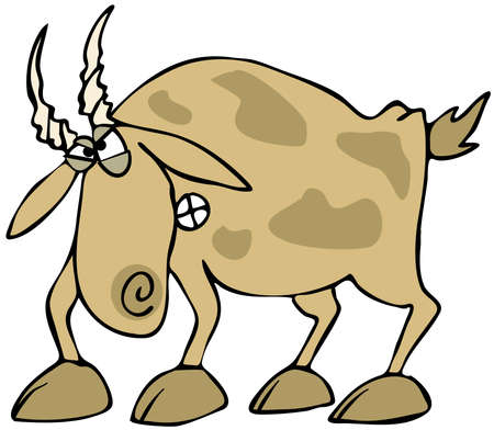 Angry Goatの写真素材