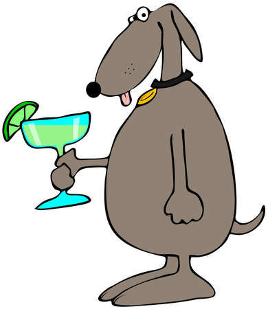 Dog holding a Margaritaの写真素材