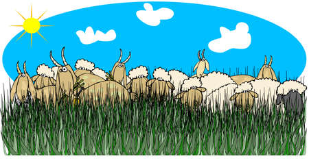 Sheep   goats in tall grassの写真素材