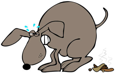 Dog straining to poopの写真素材