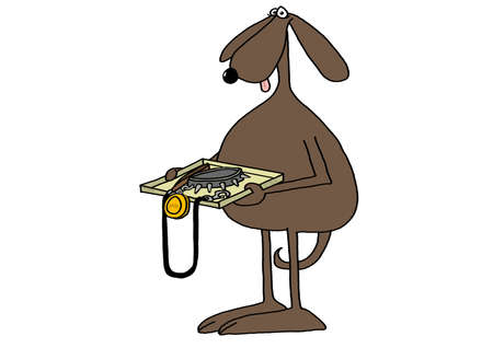 Canine security checkの写真素材