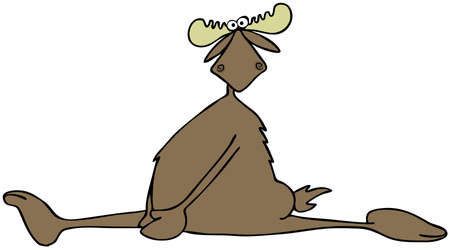 Moose doing the splitsの写真素材
