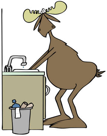 Moose washing his hands in a sinkの写真素材